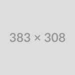 Freelancer Days 2024, What’s new?